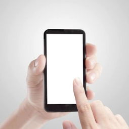 国产手机价格攀升与设计趋同的双重迷思